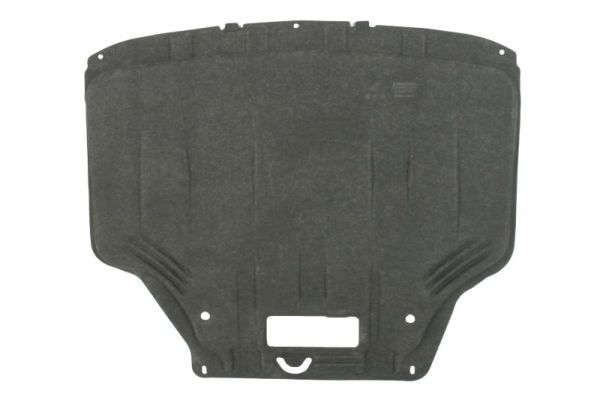 Blic Motor-/Veiligheidsbumper 6601-02-2539860P