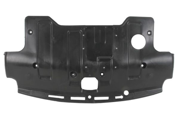 Blic Motorbescherm plaat 6601-02-3181861P