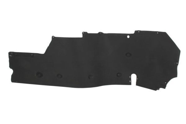 Blic Motor-/Veiligheidsbumper 6601-02-5730862P