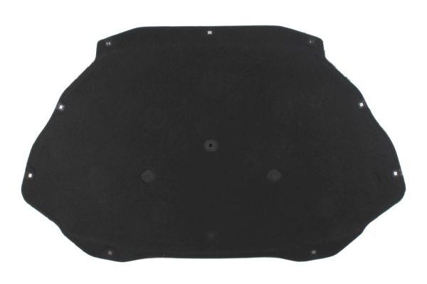 Blic Motorbescherm plaat 6804-00-5721291P