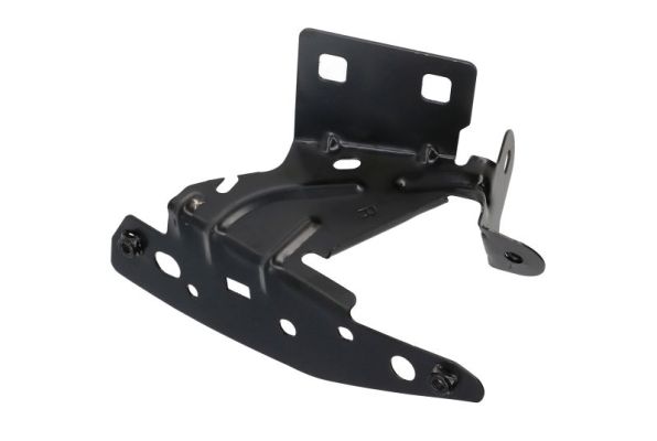 Blic Ophanging, spatbordfixering 7802-03-0531384P