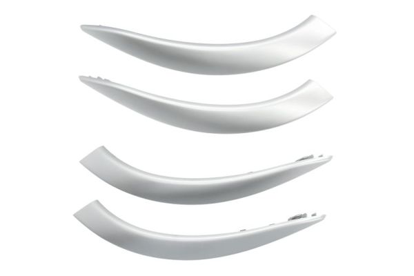 Blic Handgreep, interieur 8800-00-1950281PP