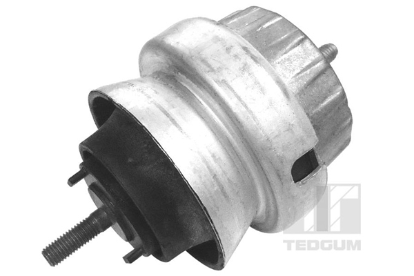 Tedgum Motorsteun 00056452