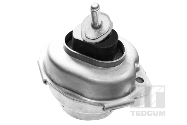 Tedgum Motorsteun 00088466