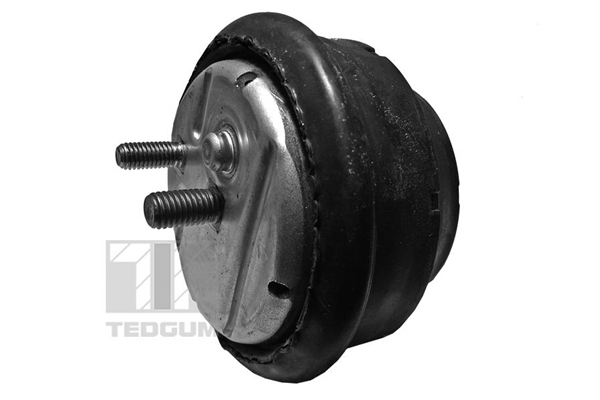 Tedgum Motorsteun 00089808