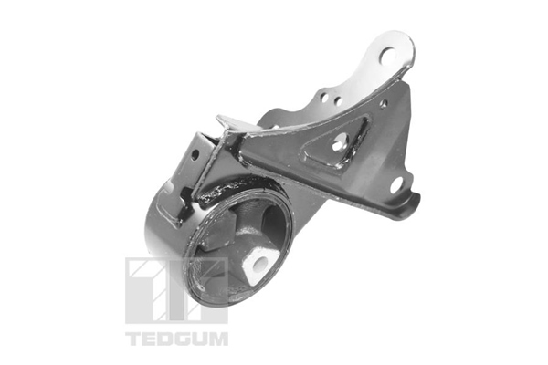 Tedgum Motorsteun 00131530