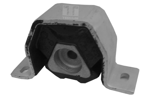 Tedgum Motorsteun 00212975