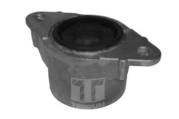 Tedgum Veerpootlager & rubber 00222822