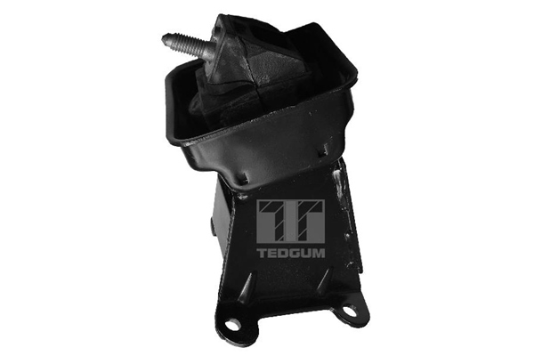 Tedgum Motorsteun 00223065