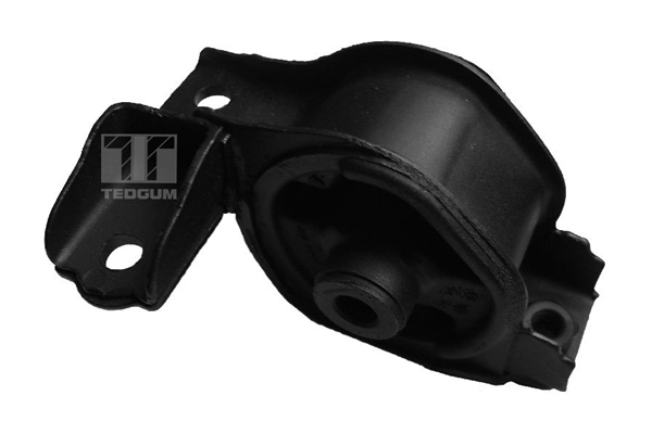 Tedgum Motorsteun 00263061