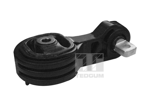 Tedgum Motorsteun 00269388