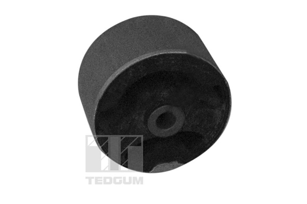 Tedgum Differentieel keerring 00289581