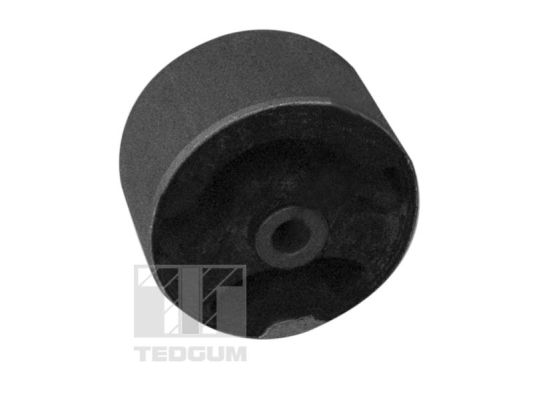 Tedgum Differentieel keerring 00289581