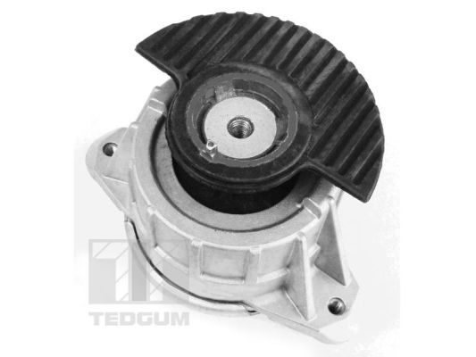 Tedgum Motorsteun 00418476