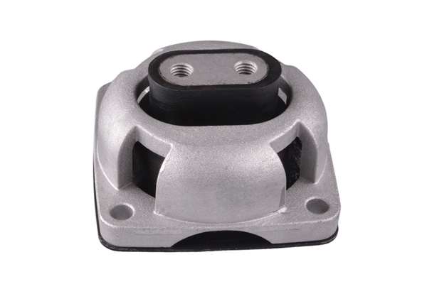 Tedgum Ophangrubber automaatbak 00418581