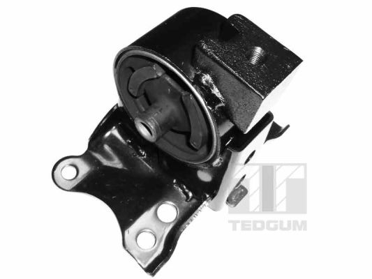 Tedgum Motorsteun 00466350