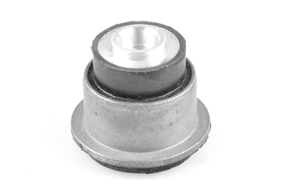 Tedgum Draagarm-/ reactiearm lager 00581387