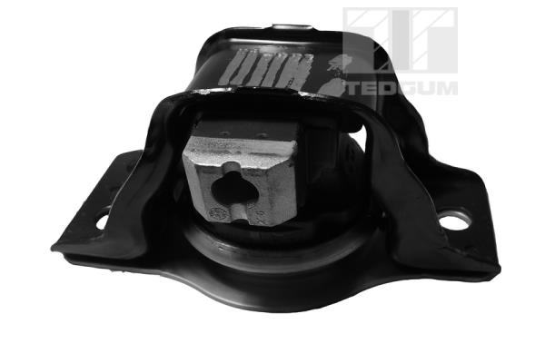Tedgum Motorsteun 00581422
