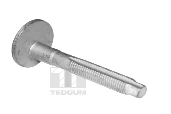 Tedgum Schroef TED39597