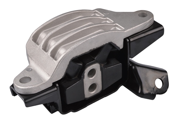 Tedgum Aslichaam-/motorsteunlager TED50169