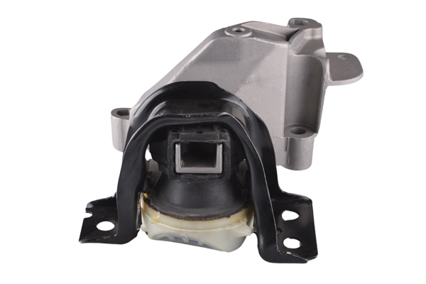 Tedgum Aslichaam-/motorsteunlager TED60891