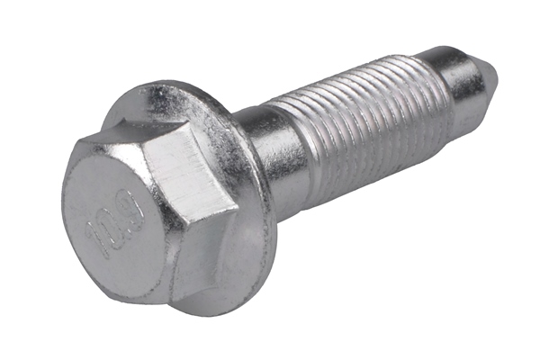 Tedgum Schroef TED71988