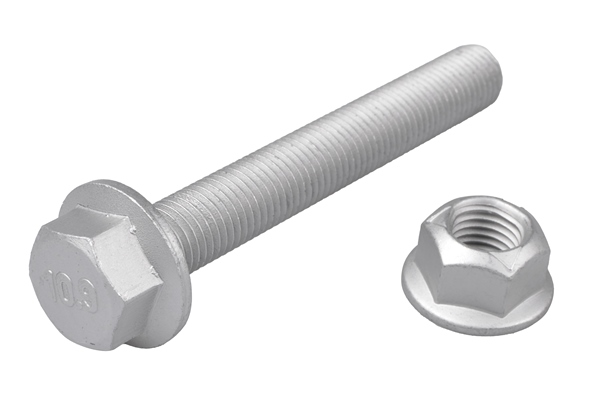 Tedgum Schroef TED74916