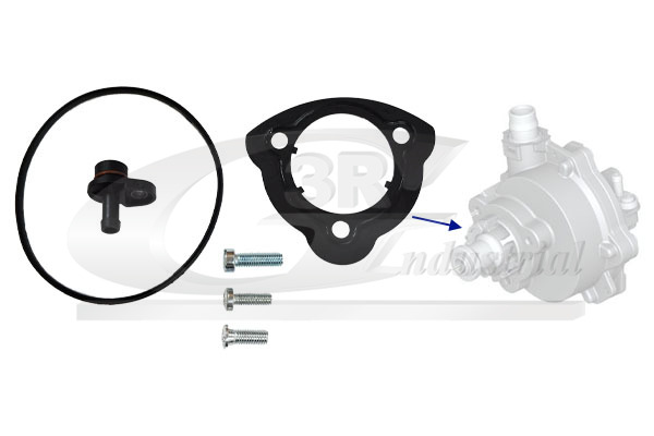 3RG Reparatieset, onderdrukpomp (remsysteem) 74103