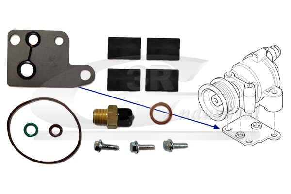 3RG Reparatieset, onderdrukpomp (remsysteem) 74303