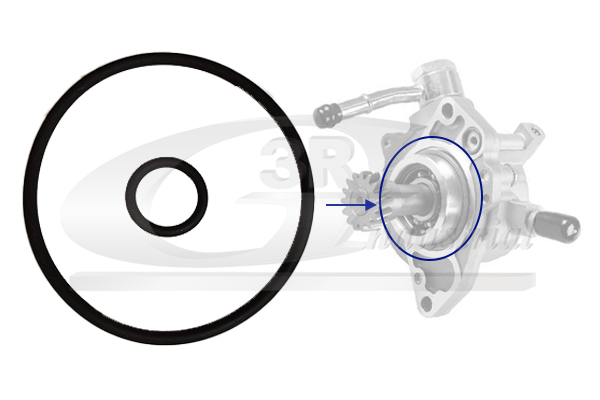 3RG Pakkingset, onderdrukpomp 74802