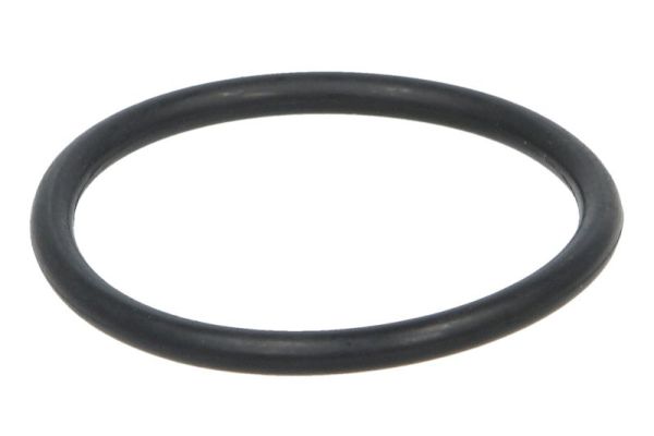 BTA Fuseepenlager B05-AG-383