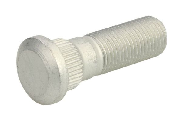 BTA Wielbout/moer H60002BTA