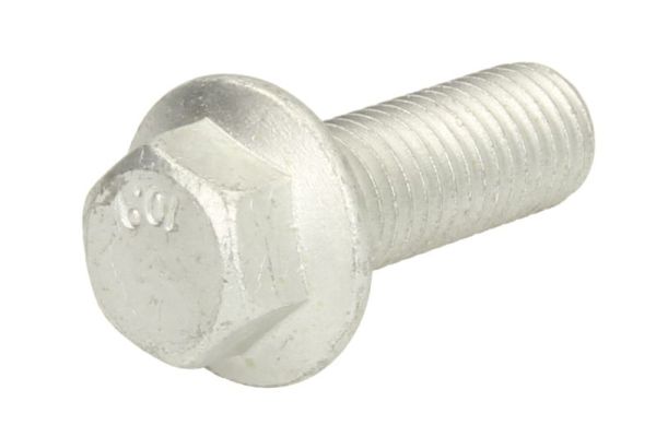 S-TR Schroef STR-1207210