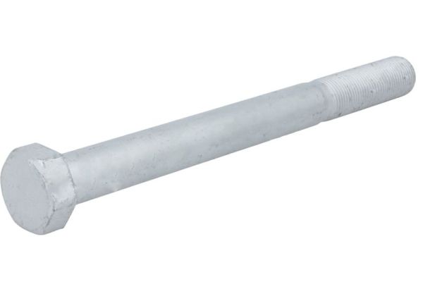 S-TR Schroef STR-M24X2/260