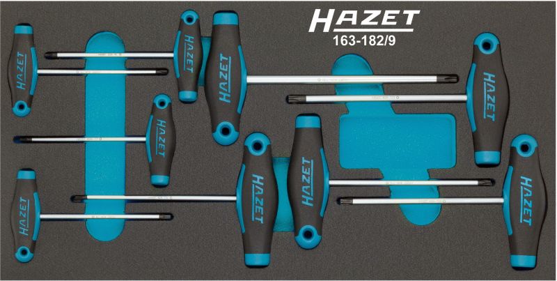 Hazet Schroevendraaierset 163-182/9