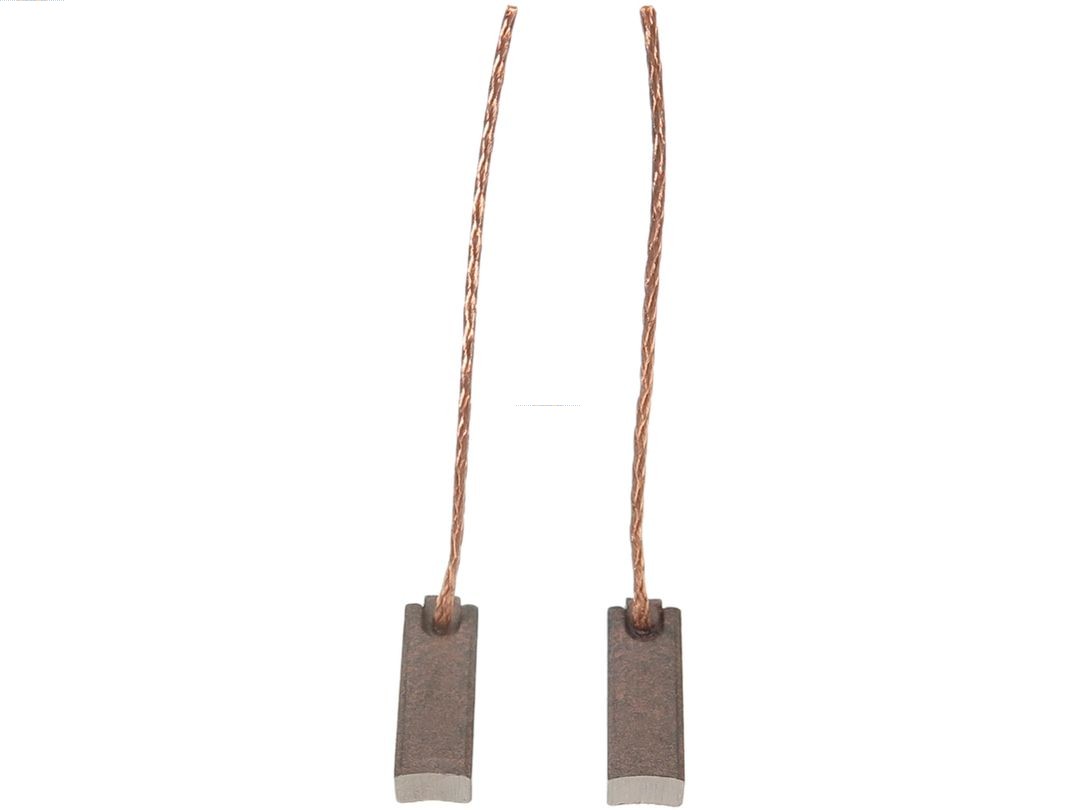 AS-PL Kolenborstel, dynamo BX213