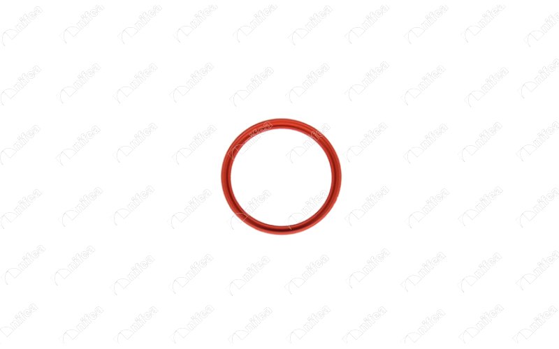 Nifea Laadlucht-/turboslang 11619