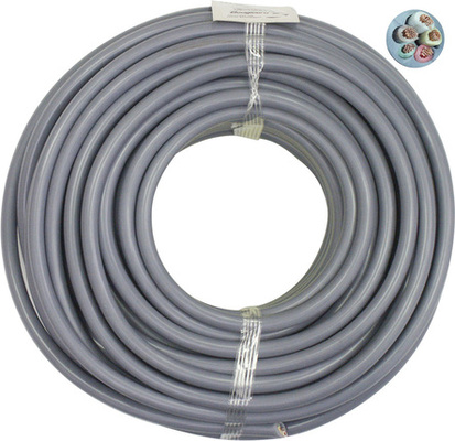 Restagraf Elektrische leiding 16266