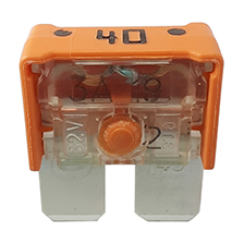 Restagraf Zekering 17506