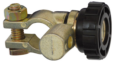 Restagraf Hoofdschakelaar 217324