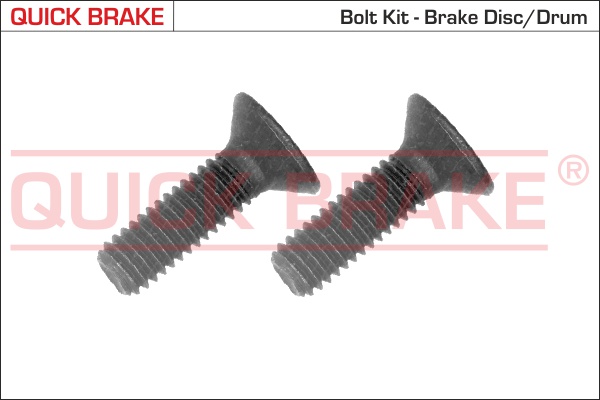 Quick Brake Remschijfschroef 11622K