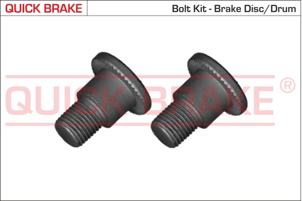 Quick Brake Remschijfschroef 11679K