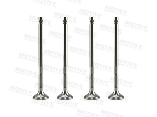 Motive Uitlaatklep EV10010