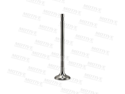 Motive Uitlaatklep EV10029