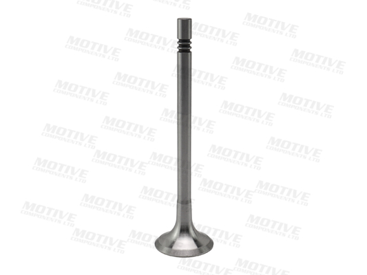 Motive Uitlaatklep EV2323