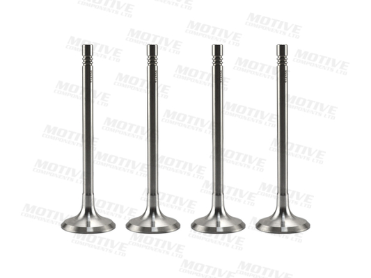 Motive Uitlaatklep EV6719