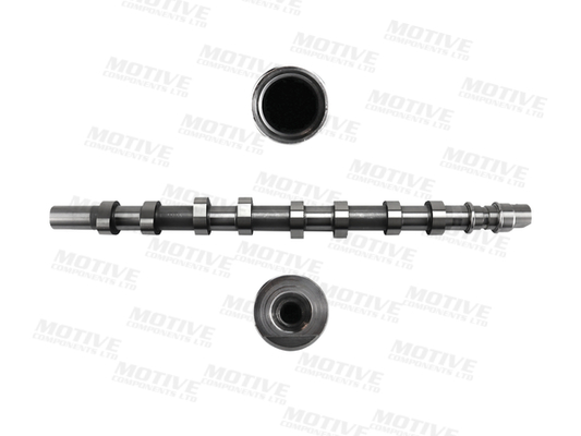 Motive Nokkenas T1963