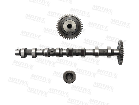 Motive Nokkenas T4406