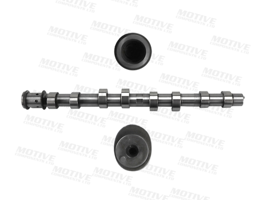 Motive Nokkenas T4547