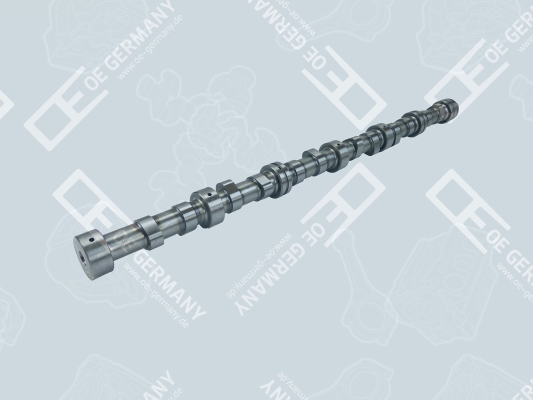 OE Germany Nokkenas 06 0500 XF9500